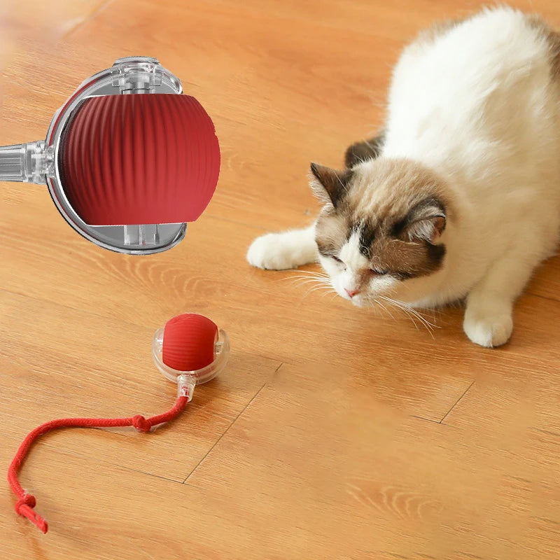 Interactive Motion-Activated Cat Toy Ball