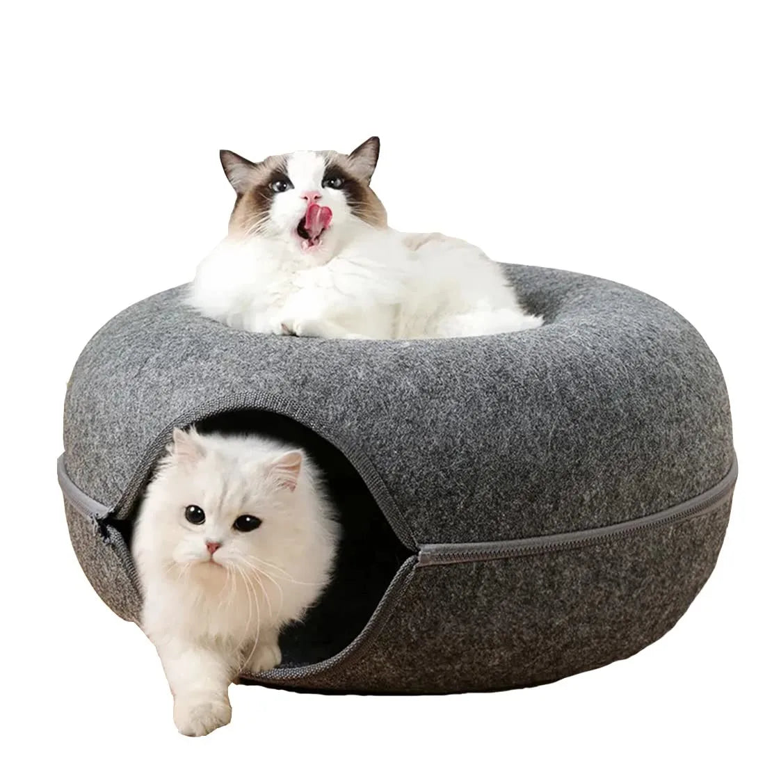 Donut Cat Bed & Tunnel