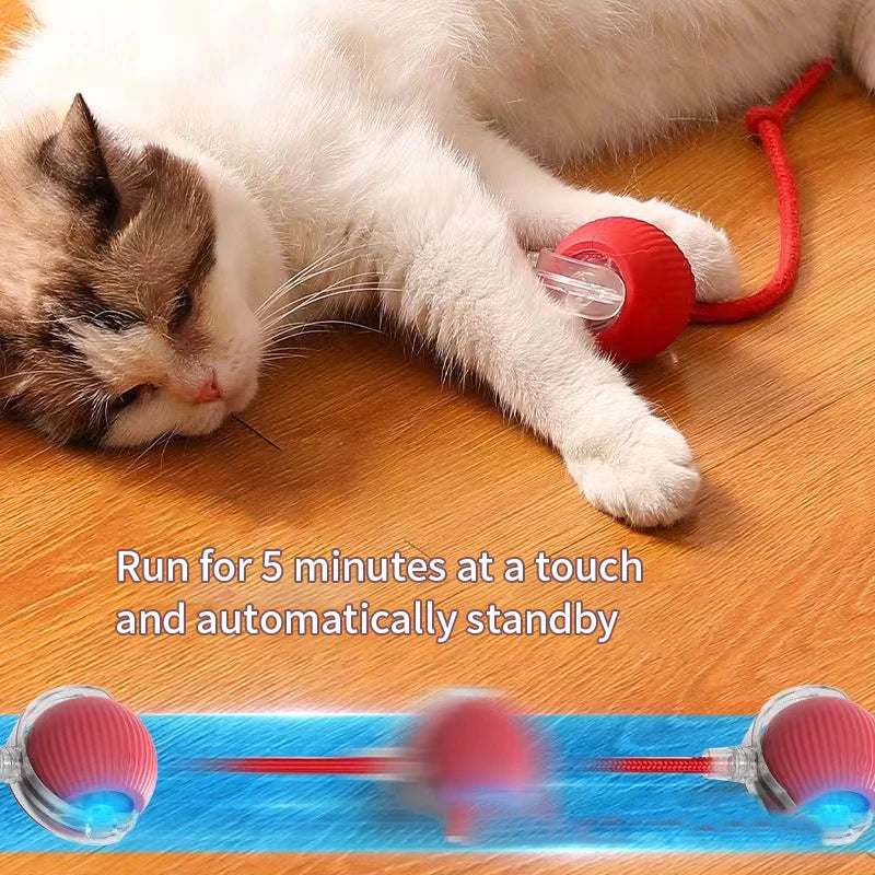 Interactive Motion-Activated Cat Toy Ball