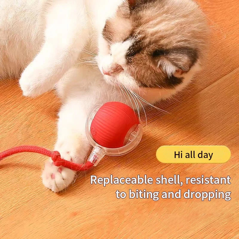 Interactive Motion-Activated Cat Toy Ball