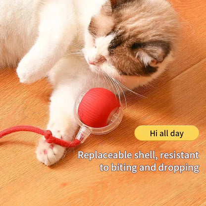 Interactive Motion-Activated Cat Toy Ball