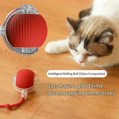 Interactive Motion-Activated Cat Toy Ball